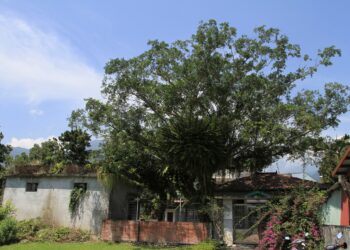 跟著文史達人走訪百年村莊尋幽探訪(下)