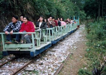 臺灣第一森林碰碰車~池南森林遊樂區碰碰車