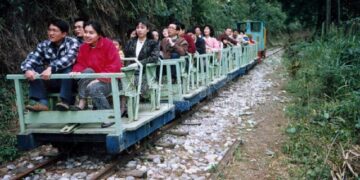 臺灣第一森林碰碰車~池南森林遊樂區碰碰車