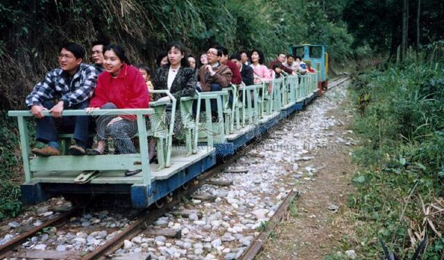 臺灣第一森林碰碰車~池南森林遊樂區碰碰車